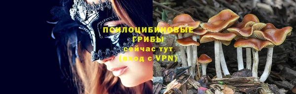 ешки Алзамай